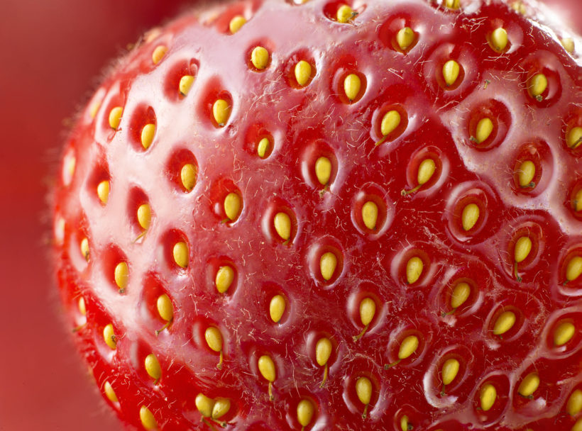 strawberry detail 