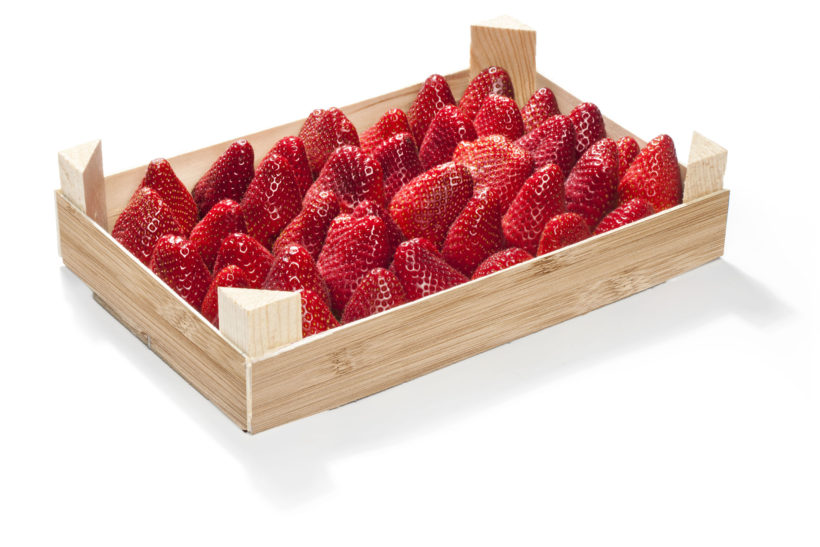 box of strawberries for BILLA market